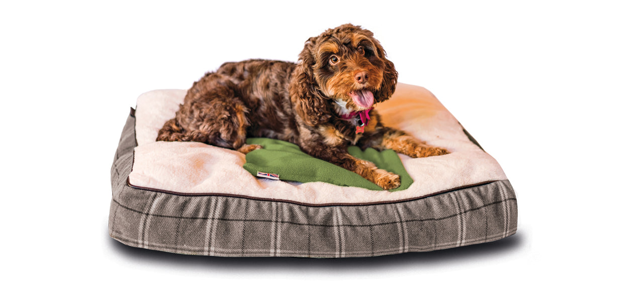 Pet Products