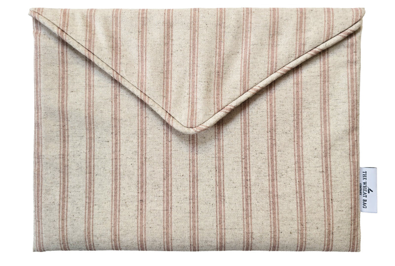 Laptop Case- Pink Stripe