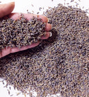 Dried English Lavender Buds